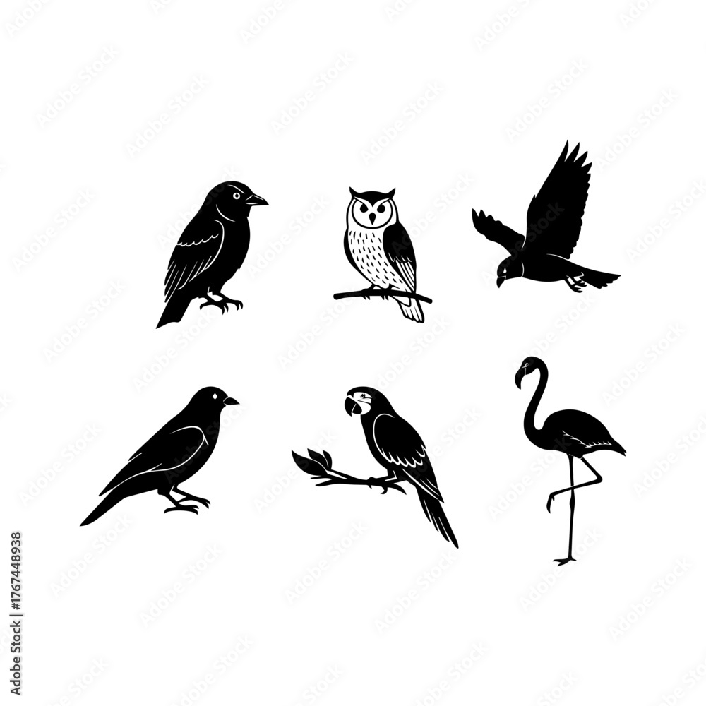 Fototapeta premium Set of different bird silhouettes including owl crow and flamingo vector illustration.
