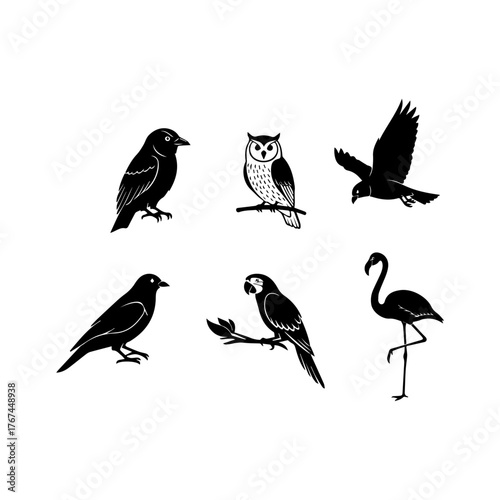 Set of different bird silhouettes including owl crow and flamingo vector illustration.