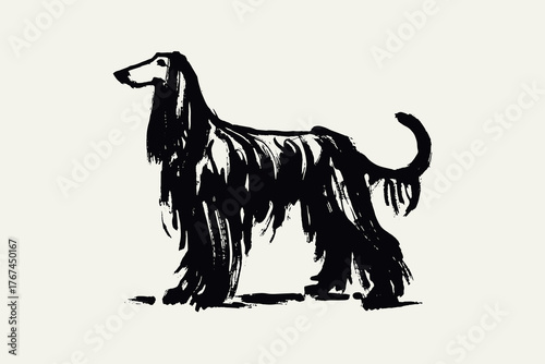 Afghan hound standing bold black ink dog illustration vector