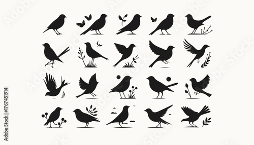 vector bird silhouette