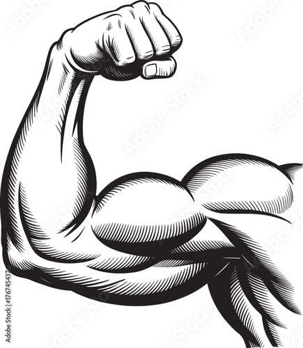 black and white flexed muscular arm silhouette with clenched fist, detailed vector for fitness, strength and anatomy themes