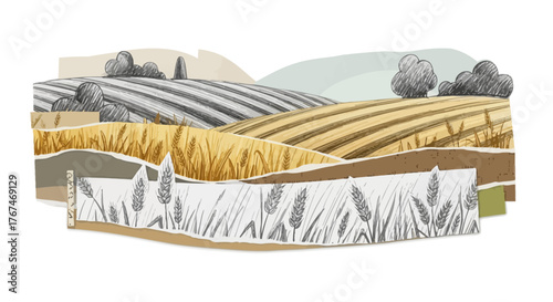 Artistic representation of golden wheat fields with sketched details and rustic charm