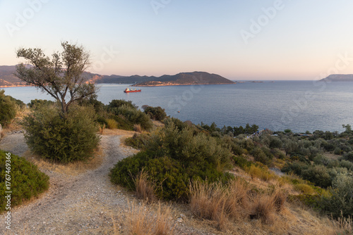 A dirt path winds through dry shrubs toward a calm blue sea. Kas, Turkey