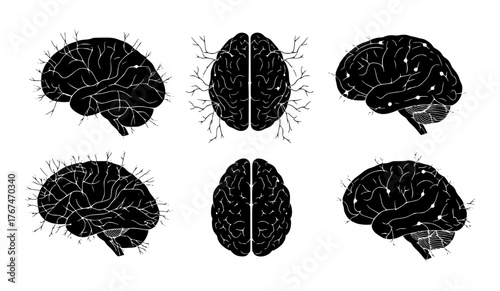set of brain damage illustration