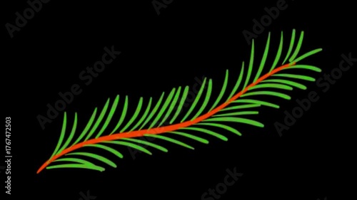 Animated Christmas tree branch. Christmas event element animation. 