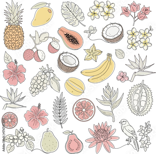 Vibrant hand drawn tropical fruits and flowers collection artistically rendered