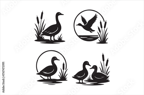 Elegant waterfowl designs featuring ducks and reeds in circular frames