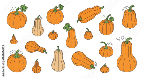 Collection of hand-drawn pumpkins and squash for autumn decor
