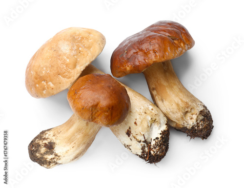 Fresh porcini mushrooms isolated on white, top view