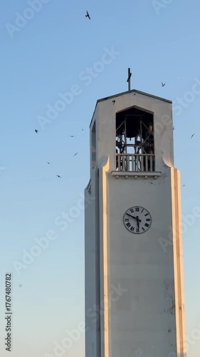swallow birds flying around bell tower early in the morning against blue sky in Bibinje, Croatia