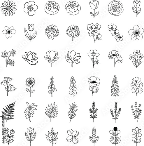 Collection of hand drawn botanical illustrations featuring various flowers and plants in black and white