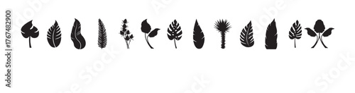 Tropical flower and leaf silhouette set. Vector collection of exotic floral elements. Hibiscus, Sumeria, monsters and palm leaf icons for summer jungle design concepts, vector illustration.