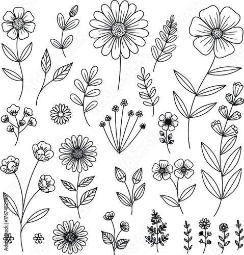 Collection of hand drawn botanical illustrations featuring delicate flowers and leaves in outline style