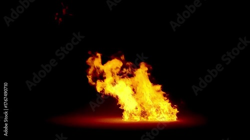 Burning fire. Bonfire.
