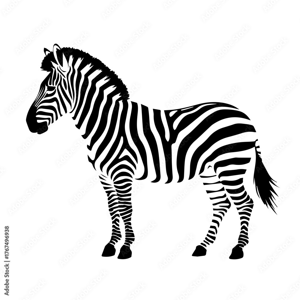 Obraz premium Black and White Silhouette of a Zebra for Wildlife Blogs, Conservation Education, Animal Awareness Campaigns, and Nature Photography Websites