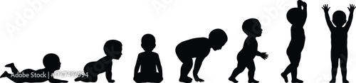 Silhouettes of human figures showing stages of growth and development from infancy to adulthood