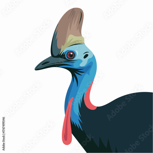 Vibrant vector illustration of a Southern Cassowary bird head.
