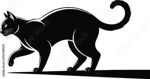 Black cat walking silhouette with white accents feline