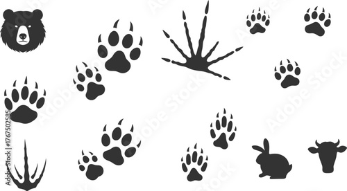 animal footprints silhouettes showing wildlife trails adding a natural educational element to outdoor themed designs