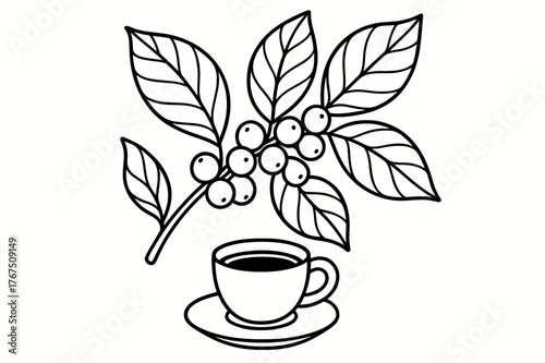 Coffee Plant Coloring. Coffee plant children?s coloring book illustration, outlined drawing, coffee branch