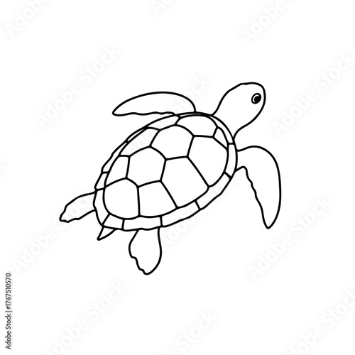 Simple Line Art Illustration of a Sea Turtle