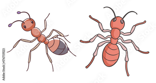 Two detailed red ants facing opposite directions naturalistic rendering