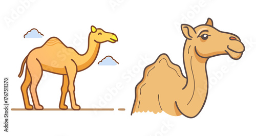 Cute cartoon camel illustration in desert with pyramids and clouds