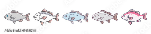 Nile perch fish illustrations a collection of aquatic wildlife art