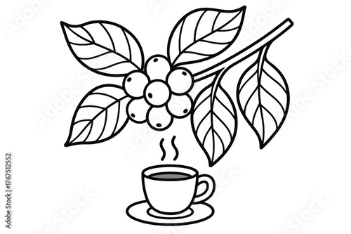 Coffee Plant Coloring. Coffee plant children?s coloring book illustration, outlined drawing, coffee branch