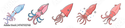 Five colorful squid varieties depicted with artistic watercolor style rendering