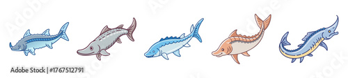 Whimsical sturgeon designs multiple aquatic animal artworks