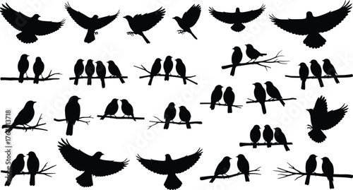 Bird silhouette vector illustration, black and white, flying and perched poses, group and solo birds, nature theme, wildlife icon, avian graphic design