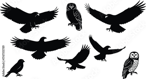Bird silhouette vector illustration, black and white, flying and perched poses, owl and hawk icons, wildlife theme, nature design, avian graphic art