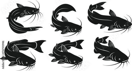 Catfish silhouette vector illustration, black and white, swimming poses, whisker details, aquatic animal icons, freshwater theme, nature graphic, fish design