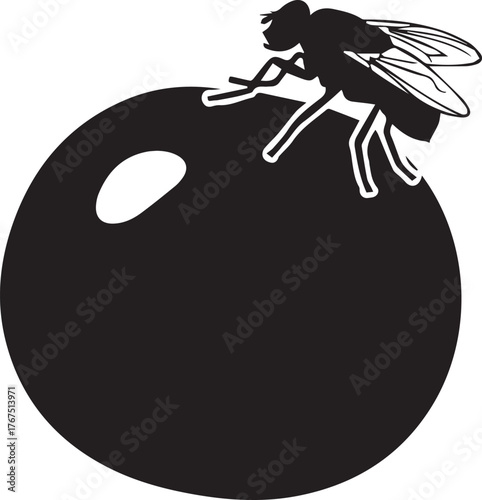 Silhouette of a housefly perched on a round dark object a symbol of annoyance or nature