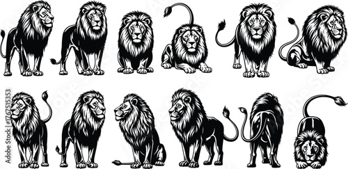 Lion silhouette vector illustration, black and white, standing, sitting, lying poses, majestic mane detail, wildlife theme, animal icon, graphic design