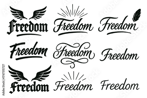 Freedom Calligraphy Variations. Freedom. Create a calligraphy lettering illustration of the phrase: Freedom.
