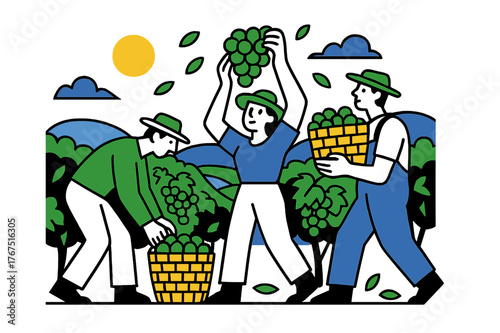 Grape Harvest Harmony. Harvest season. Workers picking grapes into baskets among lush green rows, soft rolling