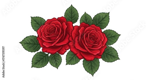 Two vibrant red roses with lush green leaves, centered on white