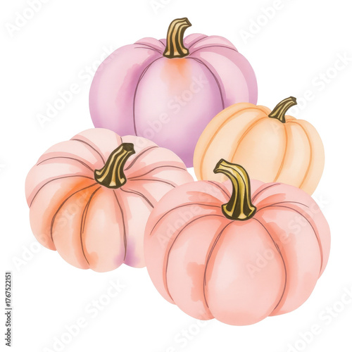 Four pastel pumpkins in soft colors for autumn decorations  isolated, without a background