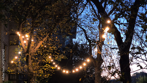 Outdoor Night Sky with String Lights