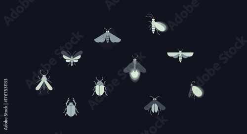 Collection of various glowing insects like fireflies moths and beetles.
