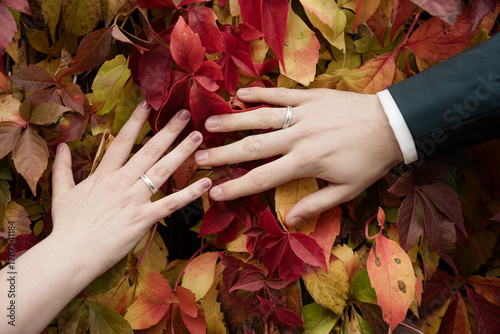 Hände mit Ringen zwischen buntem Herbstlaub – romantische Herbsthochzeit