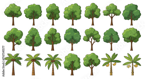 Variety of cartoon tree illustrations showcasing different shapes foliage and types including palm