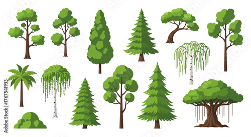 Diverse tree collection showcasing various species for botanical illustrations and nature scenes