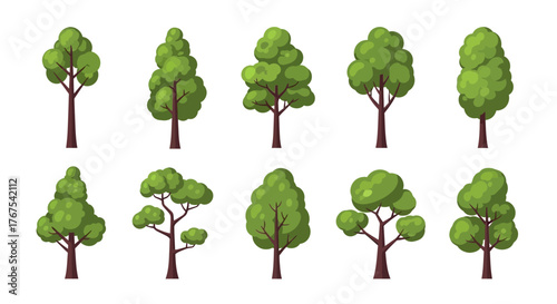 Diverse tree species illustrations showcase ecological variety and green foliage representation