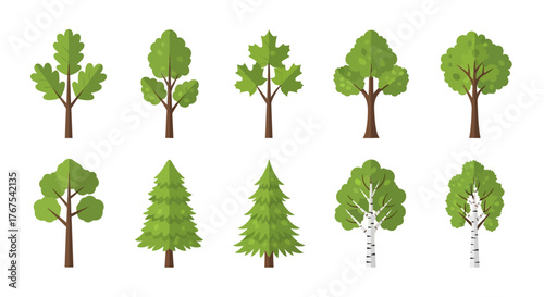 Collection of various cartoon trees vector design featuring oak maple birch and evergreen for