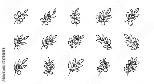 A vibrant and detailed close-up shot of a delicate white flower, its petals unfurling gracefully to reveal intricate textures and subtle color variations, set against a softly blurred background that