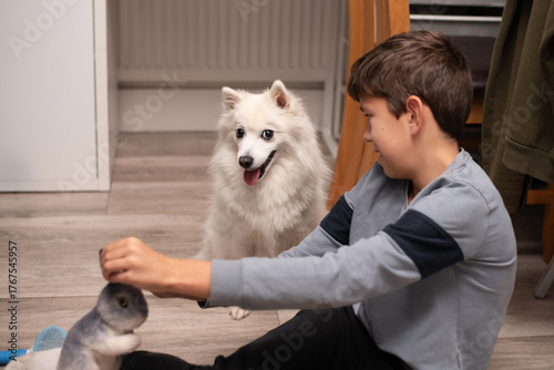 A young boy and his white fluffy dog Samoyed share playful moment indoors. Warm, family-friendly scene highlighting friendship, pets, and everyday joy