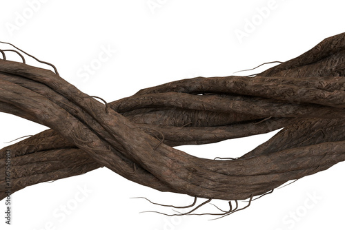 Rough, gnarled, dark brown tree roots or thick vines intertwined horizontally across a black void, showcasing natural organic textures and complex patterns